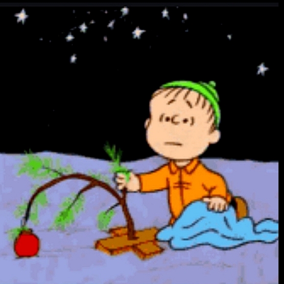 Peanuts Charlie Brown Kneeling With Tree Hallmark Ornament - Picture 11 of 16